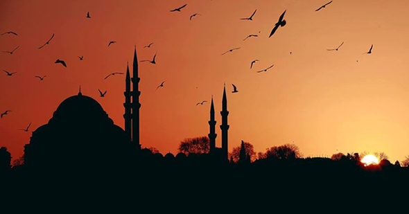 Hizmetin Mükafatı