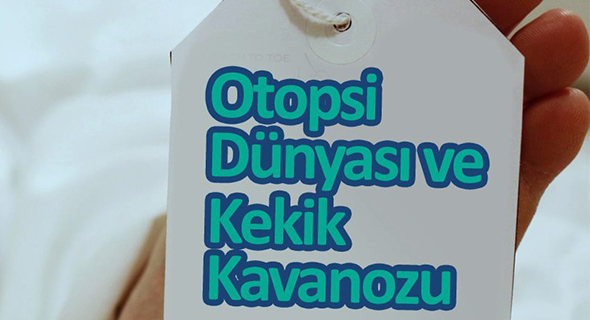 Otopsi Dünyası ve Kekik Kavanozu