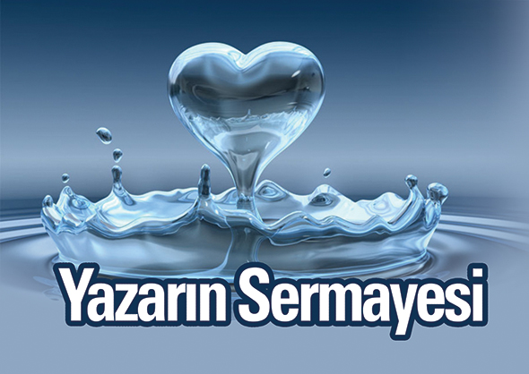 Yazarın Sermayesi