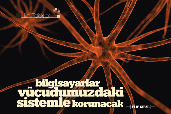 Bilgisayarlar Vücudumuzdaki Sistemle Korunacak