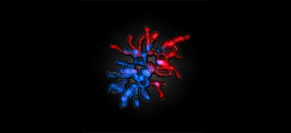 Genlerüstü Genetik: Epigenetik