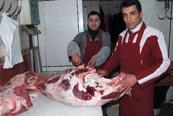 Rekor Kırmak İçin Kendini Paralayan Millet