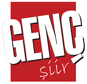"Genç Şiir" Yola Çıktı