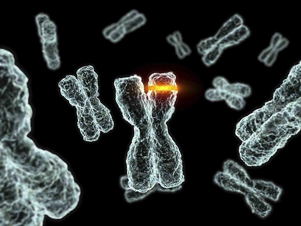 DNA`mızın İpliği Pazara Çıktı