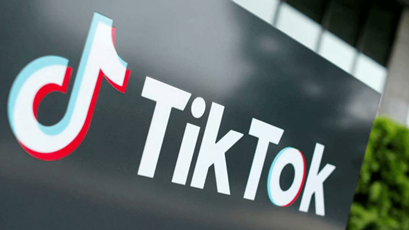 TikTok`ta Irkçı Provokasyon Tehlikesi
