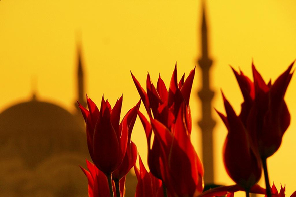 Hizmet, Sırf Allah Rızası İçin Olandır