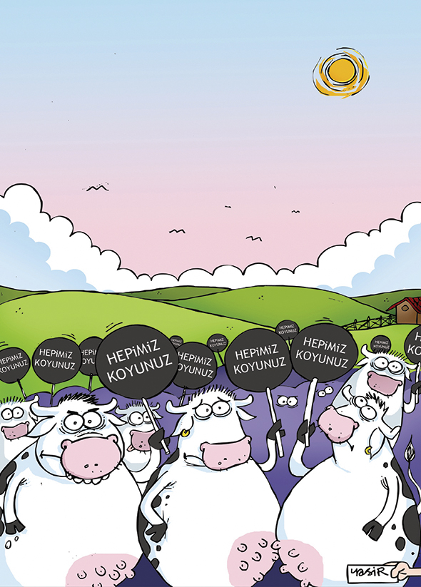 Hepimiz Koyunuz!
