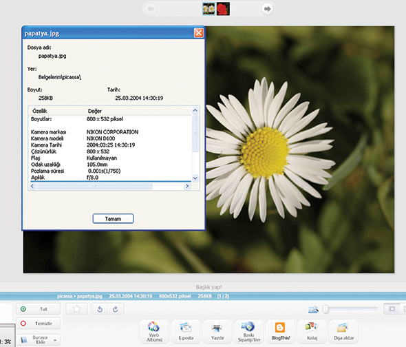 Picasso Gibi Maharetli Bir Program: Picasa