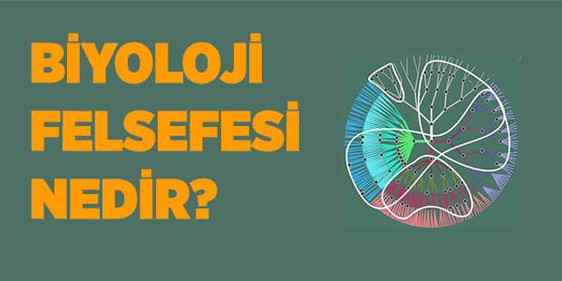 Biyoloji Felsefesi Nedir?