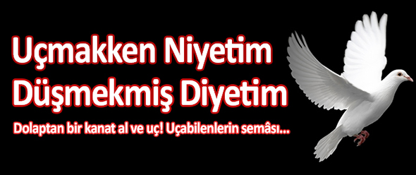 Uçmakken Niyetim Düşmekmiş Diyetim