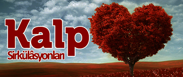 Kalp Sirkülâsyonları