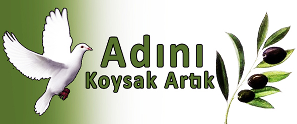 Adını Koysak Artık