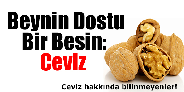 Beynin Dostu Bir Besin: Ceviz