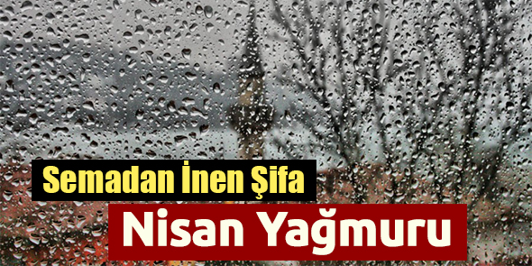Semadan İnen Şifa: Nisan Yağmuru