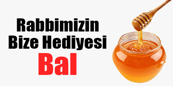 Rabbimizin Bize Hediyesi: Bal