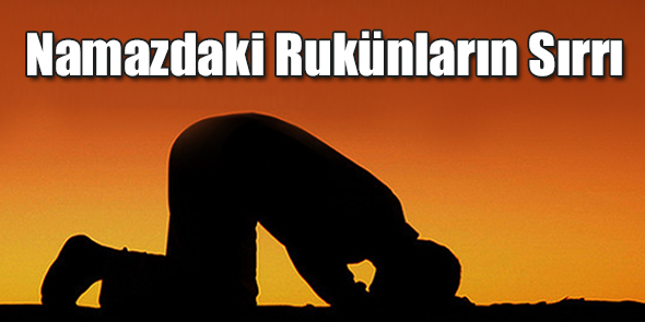 Namazdaki Rukünların Sırrı