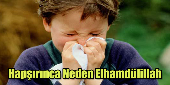 Hapşırınca Neden Elhamdülillah