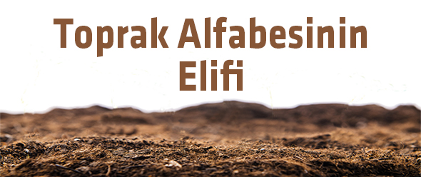 Toprak Alfabesinin Elifi