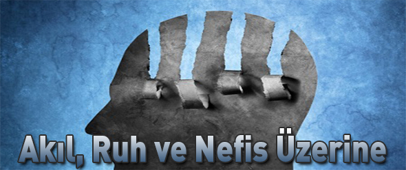 Akıl, Ruh ve Nefis Üzerine