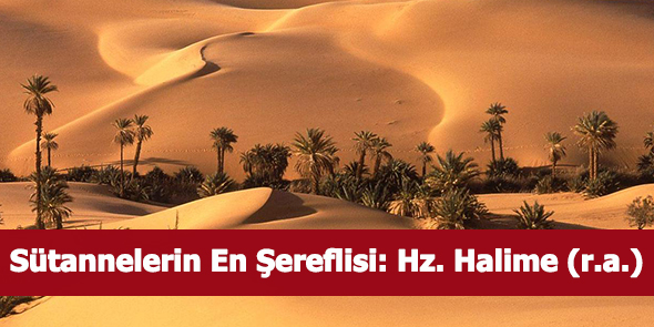 Sütannelerin En Şereflisi: Hz. Halime (r.a.)