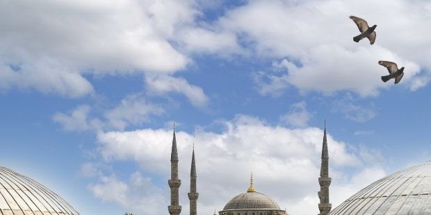 Uçun Kuşlar Medine`ye